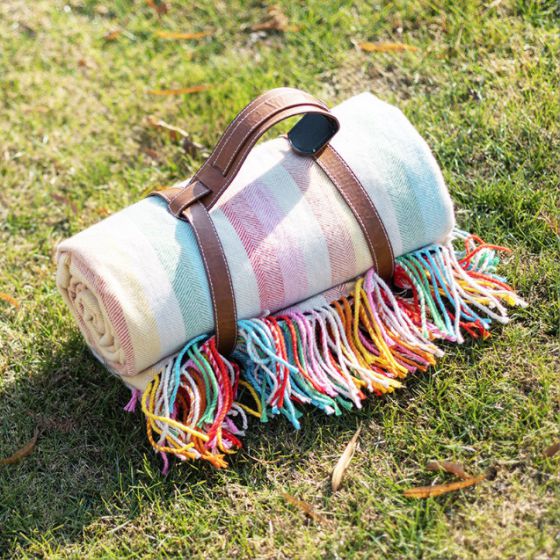Picnic Blanket multicolor